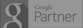 google-partner-cinza